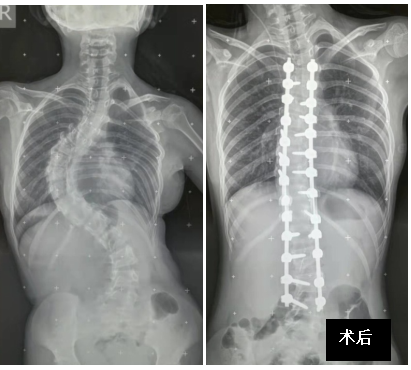 微信图片_20230830152435.png