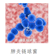 微信图片_20230830154308.png