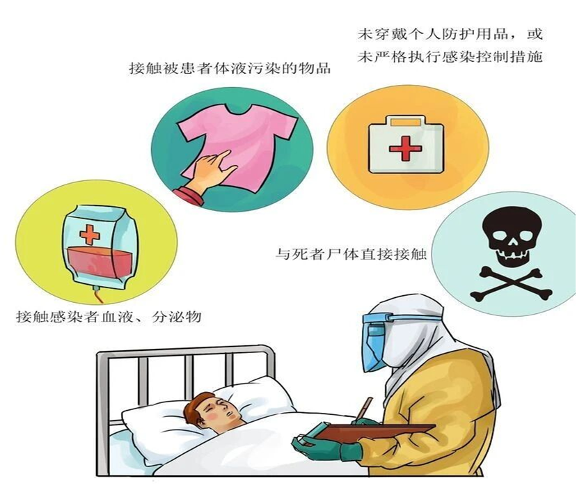 埃博拉3.png